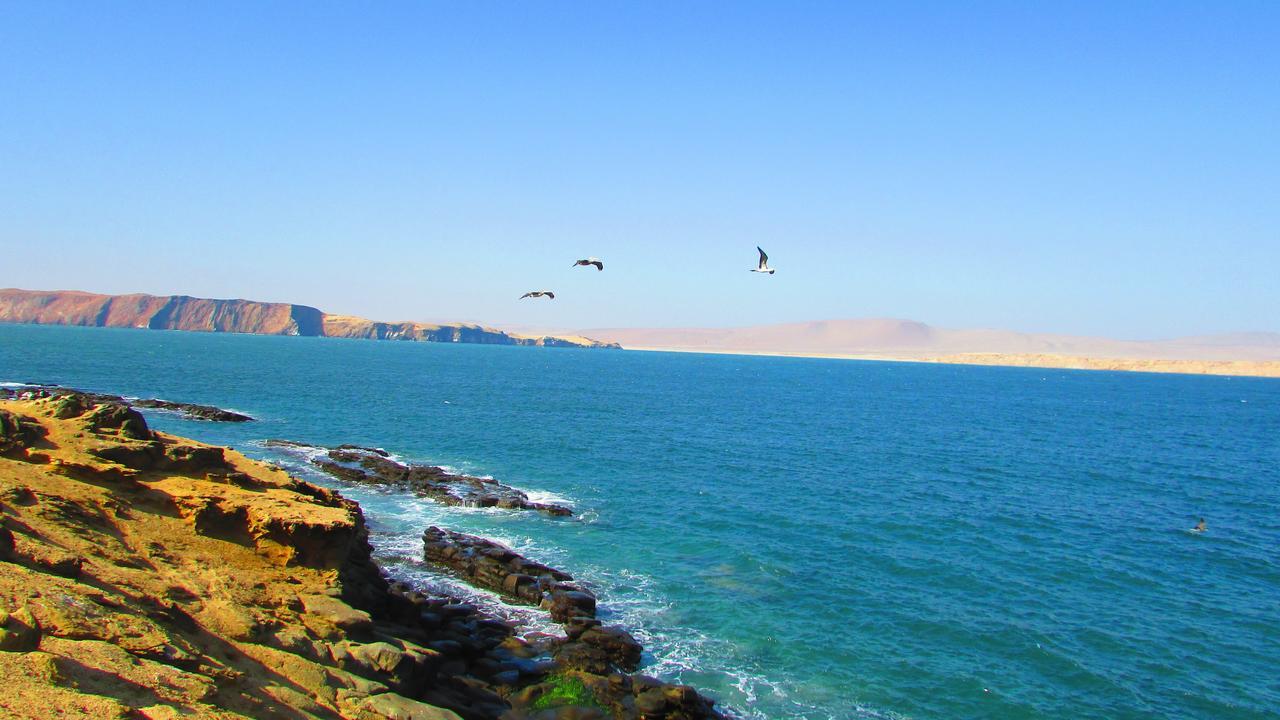 Nuevo Paracas Apartment エクステリア 写真